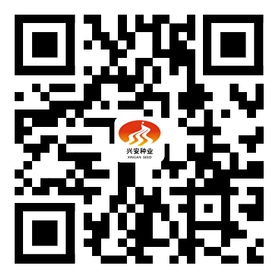 凯发网站·(中国)集团 | 科技改变生活_公司2526