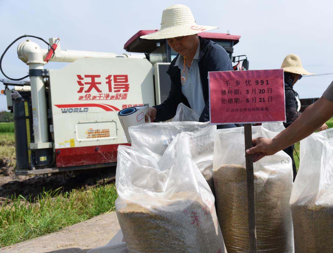 凯发网站·(中国)集团 | 科技改变生活_项目7199